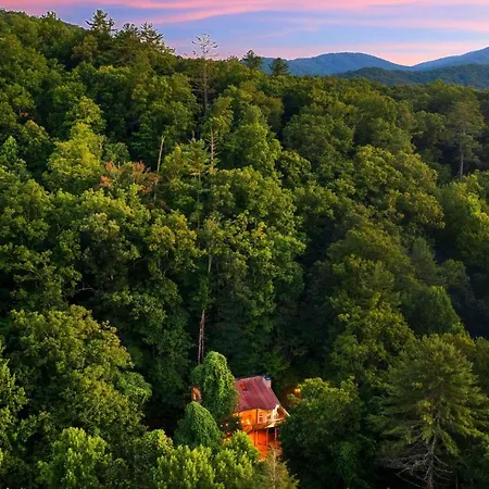 Cozy Cabin Retreat - Hot Tub, Fireplace & Fire Pit Blue Ridge Exterior foto