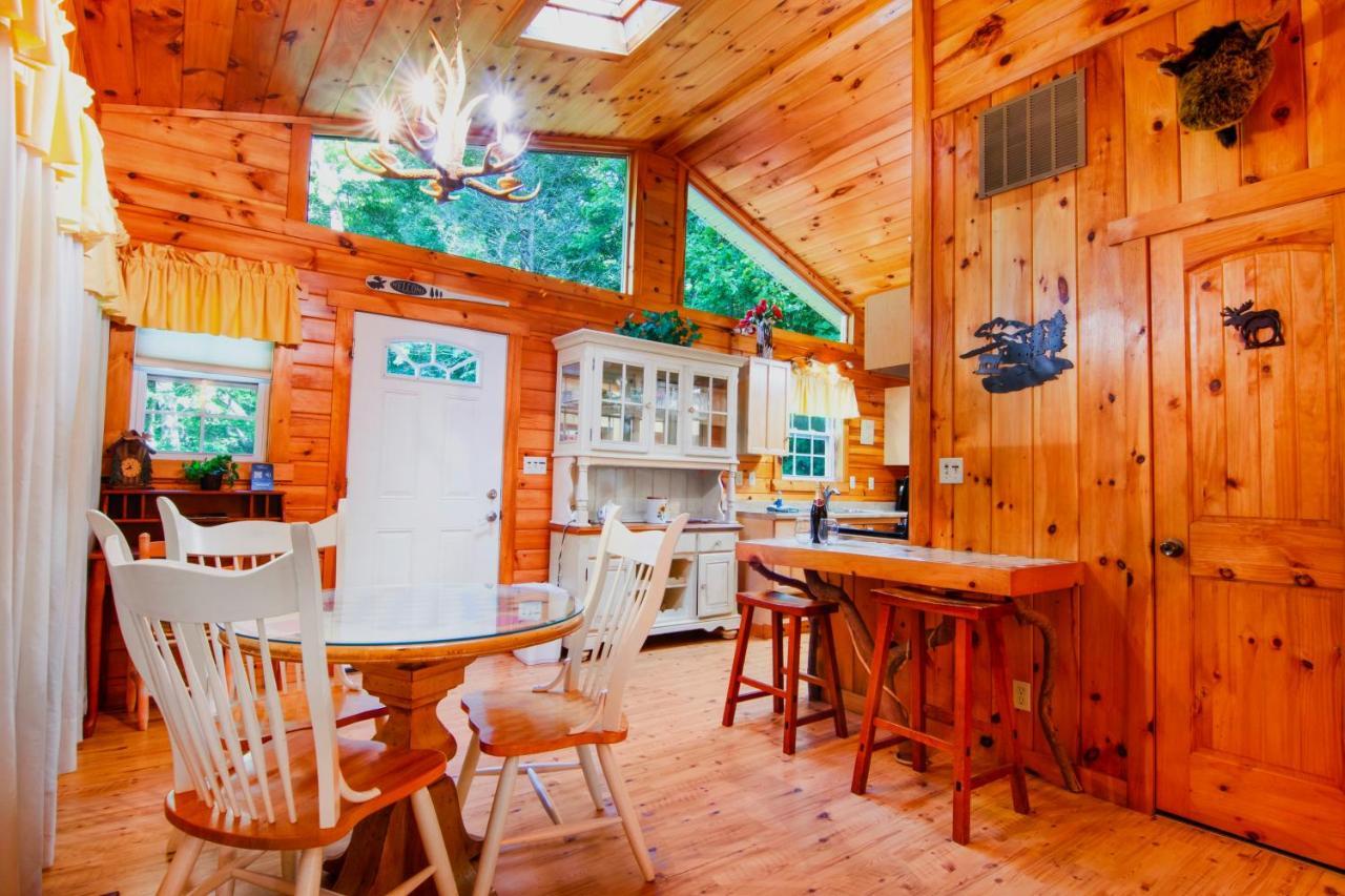 Hébergement de vacances Cozy Retreat - Hot Tub, Fireplace & Fire Pit Blue Ridge